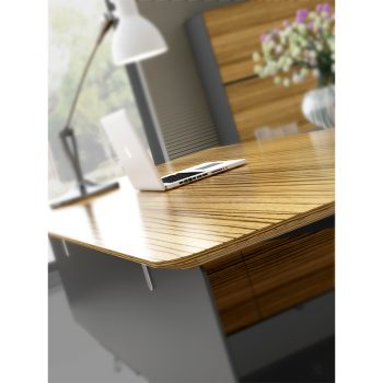 Carine Desk, Edge Detail