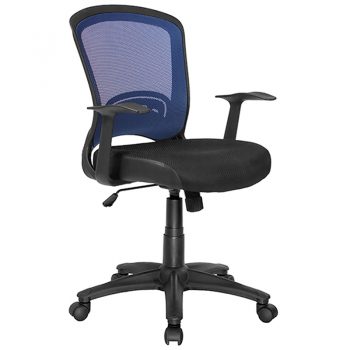 Andes Chair, Blue Mesh Back