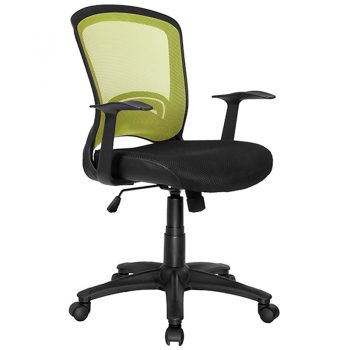 Andes Chair, Green Mesh Back