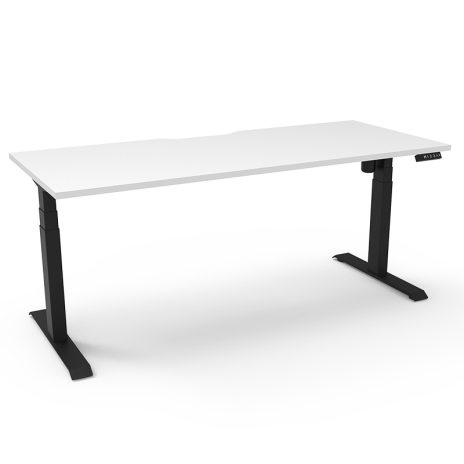 NEW!! Arise Lite Electric Height Adjustable Sit Stand Desk